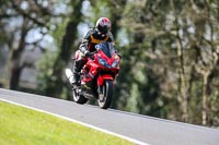 Oulton-Park-20th-March-2020;PJ-Motorsport-Photography-2020;anglesey;brands-hatch;cadwell-park;croft;donington-park;enduro-digital-images;event-digital-images;eventdigitalimages;mallory;no-limits;oulton-park;peter-wileman-photography;racing-digital-images;silverstone;snetterton;trackday-digital-images;trackday-photos;vmcc-banbury-run;welsh-2-day-enduro